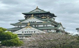 Bulutlu bir havada kiraz çiçekleri arasından görünen Osaka Kalesi